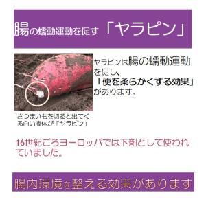 【産地直送】芋屋 干し芋 丸干し250g1袋 ...の詳細画像3