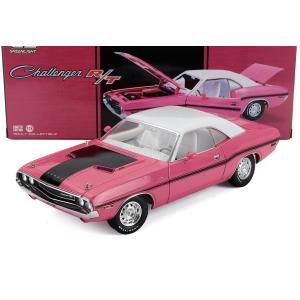 ミニカー 1/18 1957 フォード・フェアレーン 500 ガブリオレ 白色 Ford