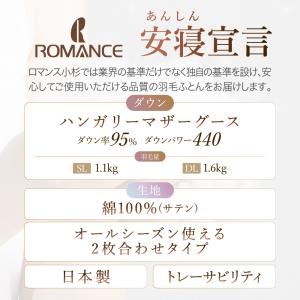2枚合わせ 羽毛掛け布団 シングル シングルロ...の詳細画像2