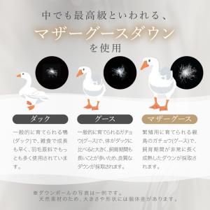 2枚合わせ 羽毛掛け布団 シングル シングルロ...の詳細画像4