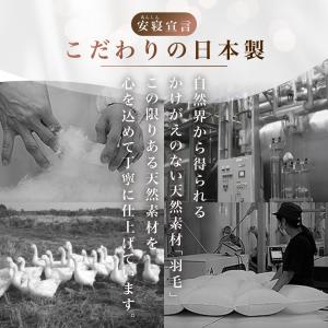 羽毛布団 ダブル ロマンス小杉 ハンガリー マ...の詳細画像4