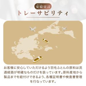 羽毛布団 クイーン ロマンス小杉 ハンガリーマ...の詳細画像5