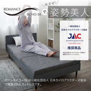 ロマンスエコーSE 2025年新モデル マット...の詳細画像1
