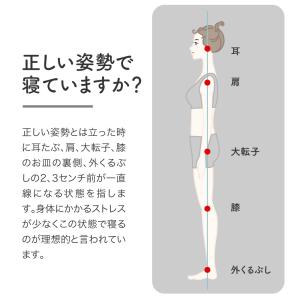ロマンスエコーSE 2025年新モデル マット...の詳細画像2