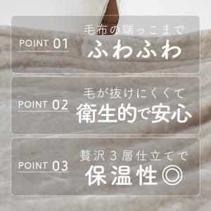 吸湿発熱 綿入り 毛布 セミダブル 暖かい ロ...の詳細画像1