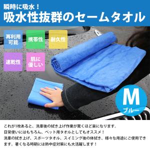 超吸収! セームタオル Mサイズ 洗車 吹き上...の詳細画像1