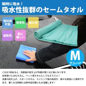 超吸収! セームタオル Mサイズ 洗車 吹き上...の詳細画像1