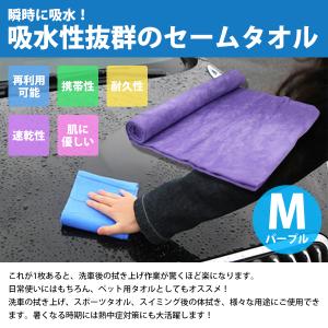 超吸収! セームタオル Mサイズ 洗車 吹き上...の詳細画像1