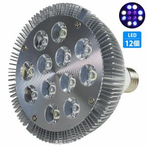 最新仕様【国内組立て】1年保証付 30,000K Lighting Master 24DCII【UV