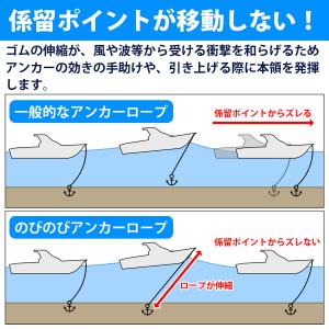 『伸縮ロープ/アンカーセット』爪型 アンカー ...の詳細画像2