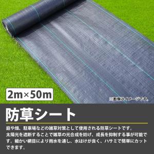『2m×50m』防草シート 1巻 厚さ0.3m...の詳細画像1