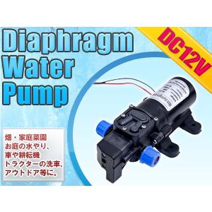 内径9mmホース対応 汎用 12V 60W 5L/分 ダイヤフラム 電動 ウォーター