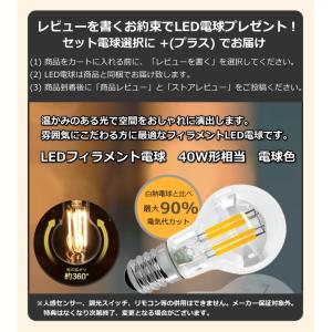 LED電球おまけ特典付 ペンダントライト ネロ...の詳細画像1