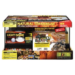 GEX EXOTERRA フトアゴヒゲトカゲ&リクガメ飼育キット 爬虫類用 GEX EXOTERRA フトアゴヒゲトカゲ&リクガメ飼育キット 爬虫類用