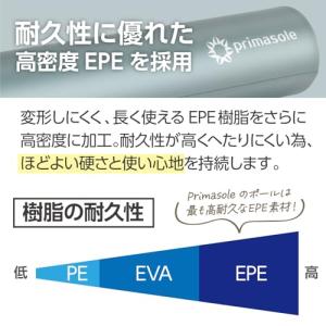 プリマソーレ(Primasole) エクササイ...の詳細画像1