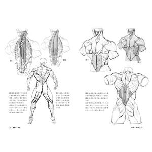 究極の筋肉ボディを描く (モルフォ人体デッサン...の詳細画像2