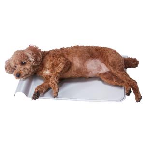 ペティオ (Petio) 犬猫用マット 広々寝そべれるクールアルミピローシートHNZ Lの商品画像