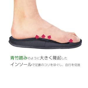アルファックス 健康スリッパ 足つぼ メガ押し...の詳細画像1