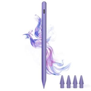 2024新登場タッチペン iPad ペン Type-c 充電磁気 ipad pencil スタイラスペン 傾き感知/誤作動防対応 アップルペンシ