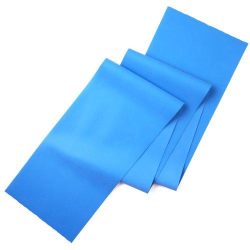 La-VIE(ラヴィ) フィットネスバンド ハード トレーニングチューブ 筋トレ 3B-3012 メ...