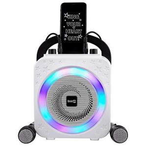 RockJam Bluetooth カラオケマイク 手持ちマイク2本 内蔵