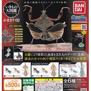 いきもの大図鑑 かまきり02 [全6種セット (フルコンプ)] ガチャガチャ カプセルトイの商品画像