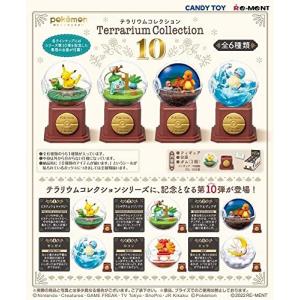 リーメント ポケットモンスター テラリウムコレクション10 BOX商品 全6