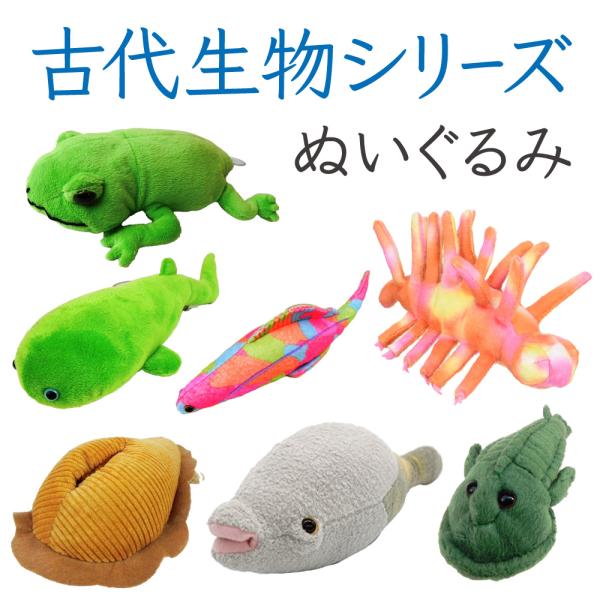 古代生物 ハイコウイクチス ディッキンソニア テロドゥス ケファラスピス アランダスピス ハルキゲニ...