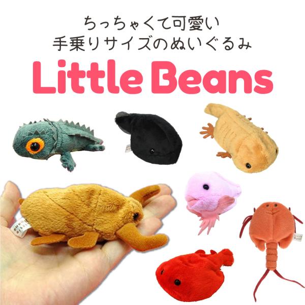 Little Beans ぬいぐるみ タガメ サンショウウオ カブトエビ サケビクニン アカメカブト...