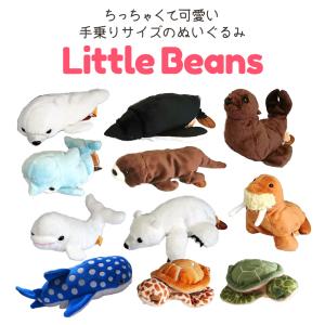 Little Beans Mサイズ イルカ シロイルカ カメ アザラシ アシカ セイウチ ペンギン シロクマ カワウソ ジンベイザメ ウミガメ ぬいぐるみ TSTアドバンス