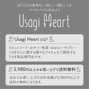 ラビット・プラス ダイエット・メンテナンス 1...の詳細画像1