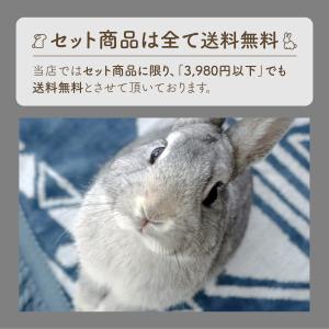 ラビット・プラス ダイエット・メンテナンス 1...の詳細画像2