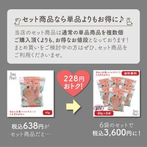 ラビット・プラス ダイエット・メンテナンス 1...の詳細画像3