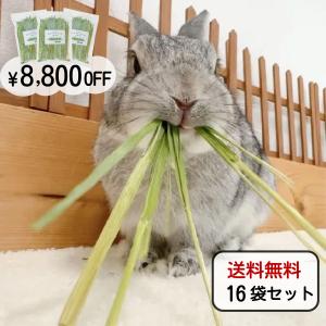 オーツヘイ うさぎさんの頬張る緑のオーツヘイ ストレート 70g×3袋