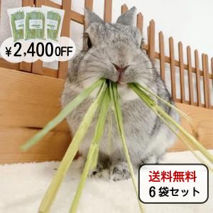 オーツヘイ うさぎさんの頬張る緑のオーツヘイ ストレート 70g×9袋