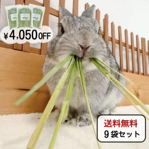オーツヘイ うさぎさんの頬張る緑のオーツヘイ ストレート 70g×16袋