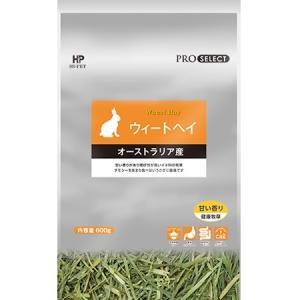 ハイペット プロセレクトオーツヘイ600g うさぎ モルモット チンチラ