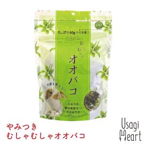 【ライフケア13袋】ベッツセレクション　ライフケア　ウサギ用　イースター Amazon.co.jp: 【療法食】 イースター ウサギ用 体力ケア 250