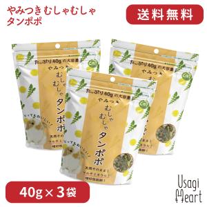 やみつき むしゃむしゃタンポポ 40g×3袋 カワイ おやつ うさぎのおやつ うさぎ ミニウサギ ネ...