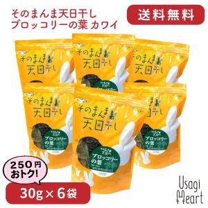 シルキーソフト プロセレクト 480g×6袋 ハイペット チモシー 牧草 イネ