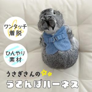マルカン うさちゃんのらくらくベストハーネス S うさぎ ハーネス