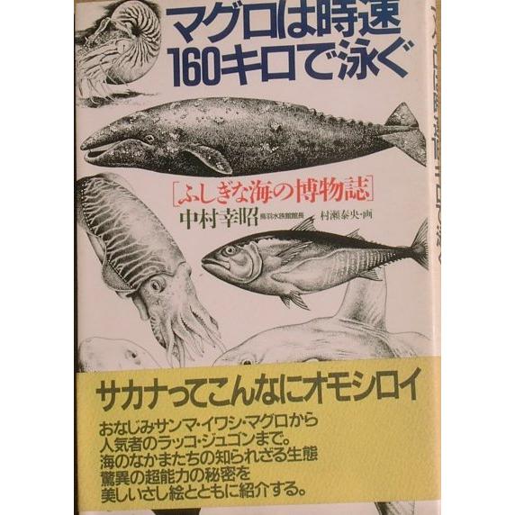 ◆◆マグロは時速160キロで泳ぐ ふしぎな海の博物館 中村幸昭