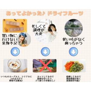 ドライフルーツ 乾燥りんご 【6mm角切り品 ...の詳細画像4