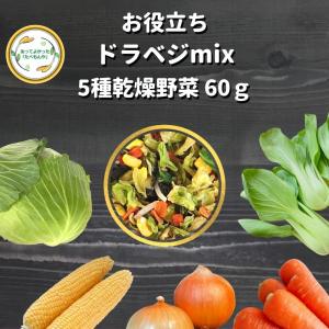 乾燥野菜 ミックス 5種 mix 品 60g 契約栽培 エアー・ フリーズドライ製法 送料無料 仕送り 一人暮らし 常備菜 時短 お手軽 非常食 即席みそ汁