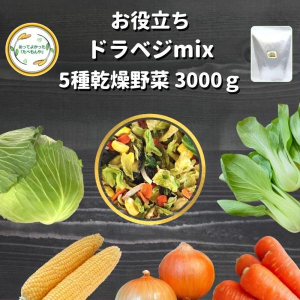 乾燥野菜 ミックス 5種 mix 品 3000g 契約栽培 エアー・ フリーズドライ製法 送料無料 ...