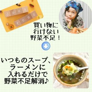 乾燥野菜 ミックス 5種 mix 品 3000...の詳細画像2