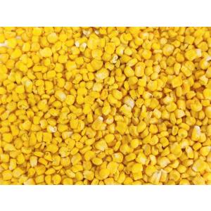 乾燥野菜 乾燥とうもろこし 粒カット品 100...の詳細画像3