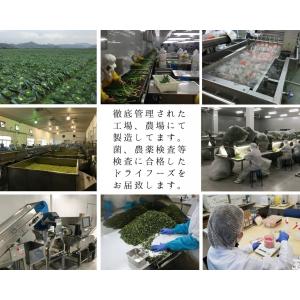 乾燥野菜 乾燥とうもろこし 粒カット品 100...の詳細画像5