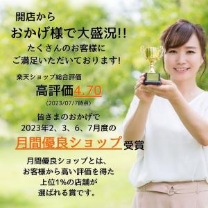 乾燥野菜 乾燥きゃべつ Mサイズ品 2cmカッ...の詳細画像1