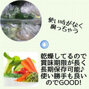 乾燥野菜 乾燥きゃべつ Mサイズ品 2cmカッ...の詳細画像5